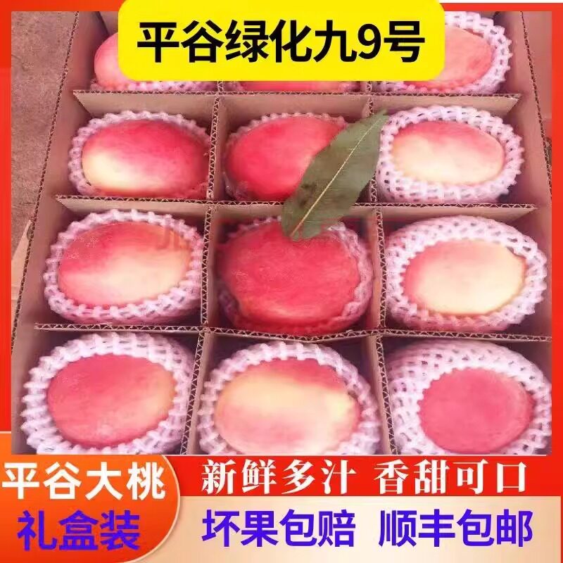 绿化九脆桃平谷大桃新鲜水蜜桃子久保早9号现摘现发当季孕妇水果