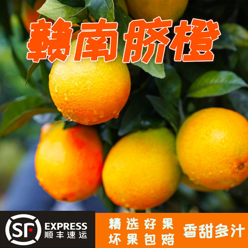顺丰发货华农兄弟正宗赣南脐橙10斤装水果整箱应季水果赣南手剥橙