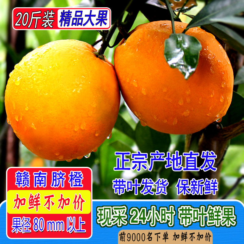 橙子赣南脐橙橙子当季新鲜水果现摘正宗江西手剥甜橙20斤装大果