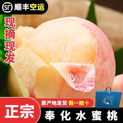 奉化水蜜桃正宗现摘现发湖景玉露礼盒的桃子新鲜水果浙江宁波特产