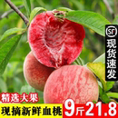新鲜桃子应季 正宗血桃当季 时令水果孕妇水蜜桃现摘整箱脆甜
