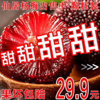 浙江仙居楊梅鮮果楊梅新鮮現(xiàn)摘現(xiàn)發(fā)超甜泡酒特大正宗仙居?xùn)|魁楊梅