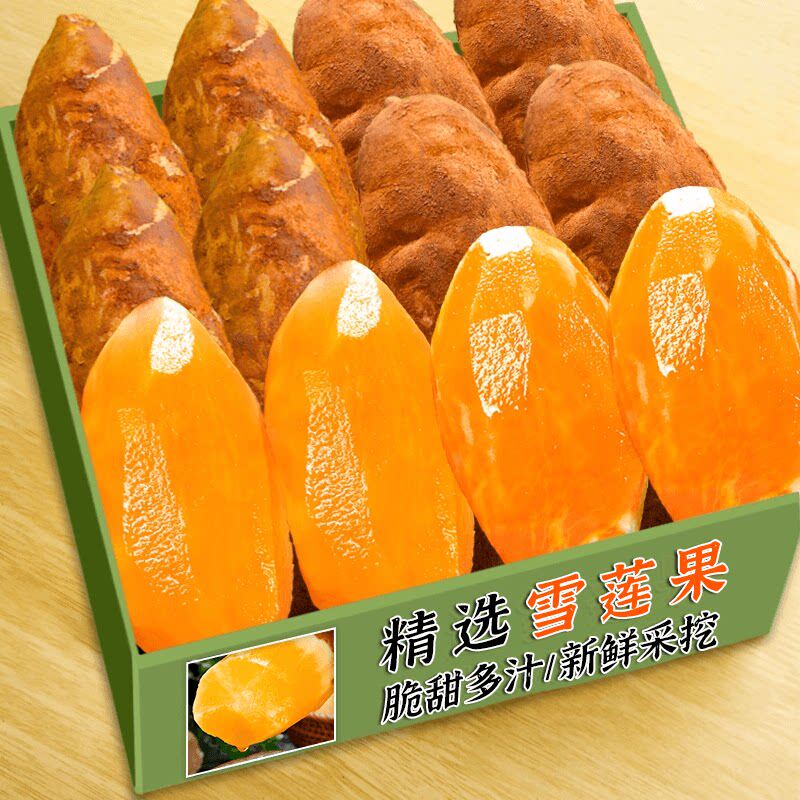 现挖云南天山雪莲果红泥