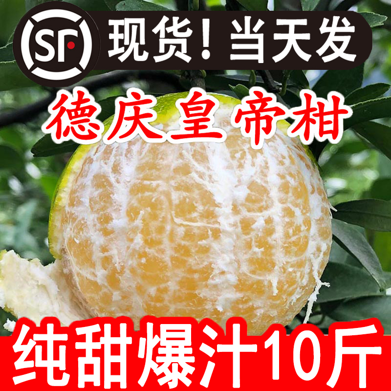 正宗德庆皇帝柑当季新鲜贡柑沃橘丑桔子爱媛水果整箱5/10斤装包邮