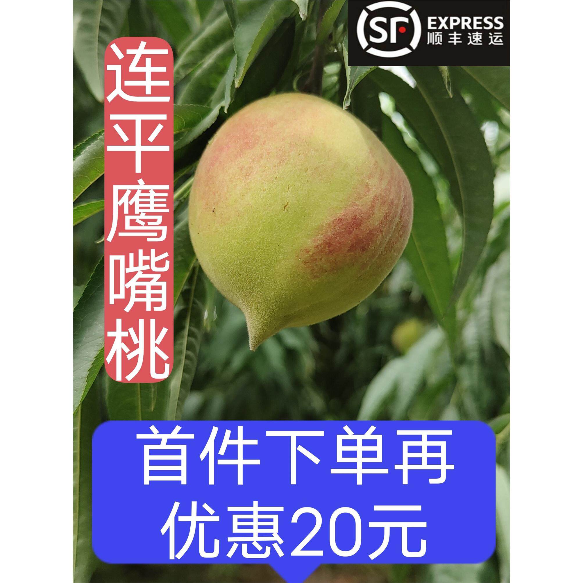 广东河源连平上坪鹰嘴桃