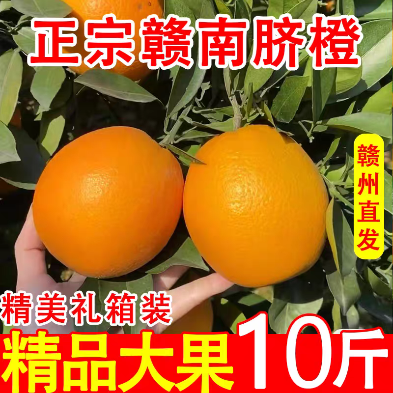 正宗江西赣南脐橙当季新鲜水果整箱10斤赣州特产橙子产地直发包邮
