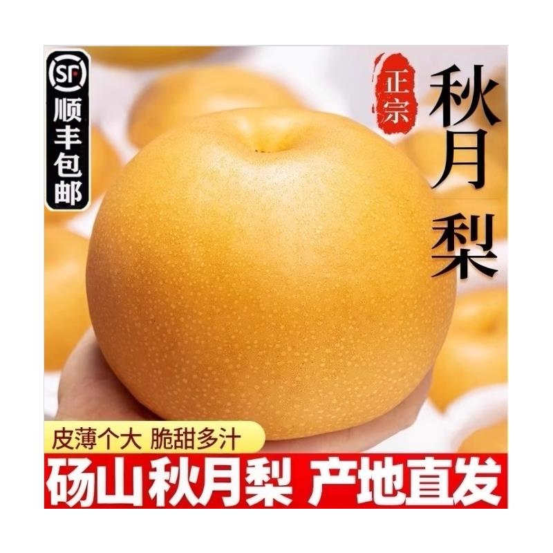 正宗安徽砀山秋月梨青梨