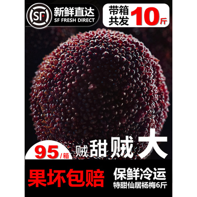 浙江仙居东魁大杨梅新鲜孕妇水果自然熟当季现摘现发泡酒整箱10斤