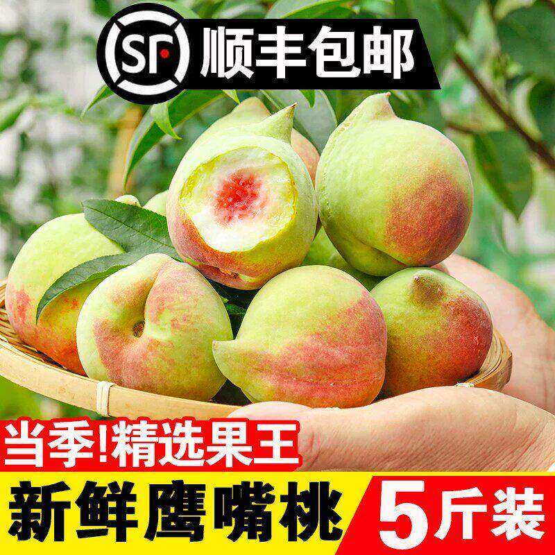 新鲜鹰嘴桃脆甜5斤当应季