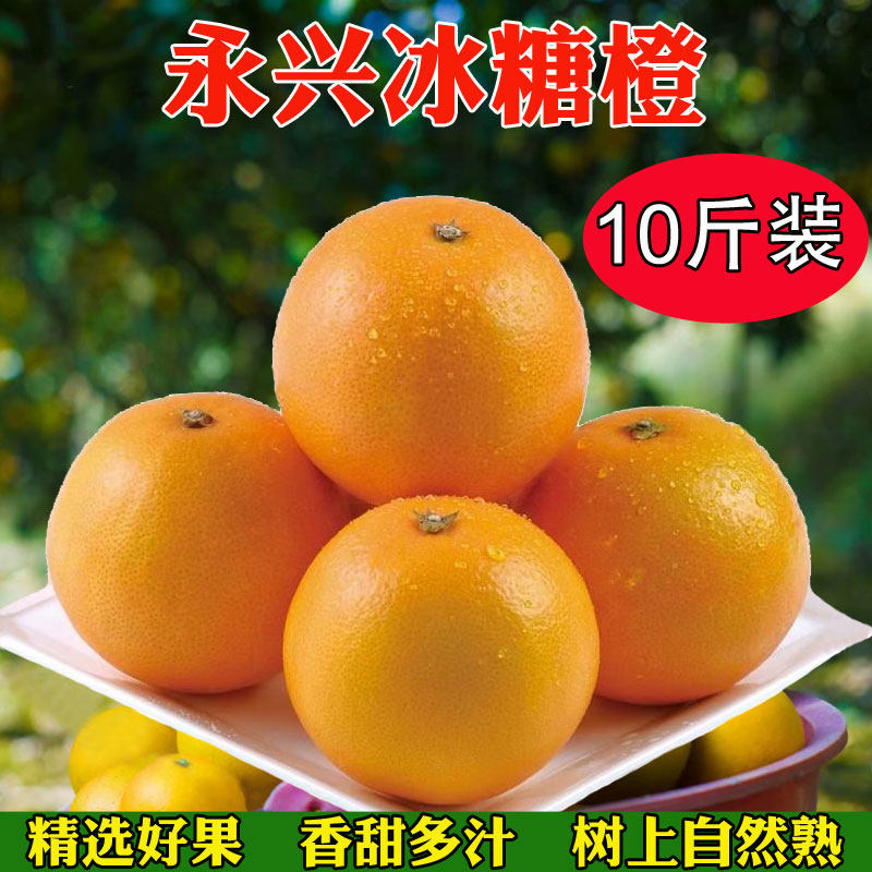 湖南正宗永兴冰糖橙10斤装郴州特产纯甜现摘当季新鲜水果橙子,水产肉类/新鲜蔬果/熟食,橙,淘宝优惠券,粉丝福利购,淘宝优惠卷
