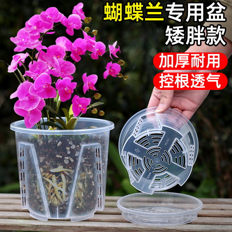 矮胖透明水苔蝴蝶兰专用盆树脂透气控根花盆塑料多肉盆栽花盆家用-封面