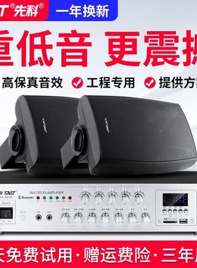 先科P8壁挂音响音箱店铺专用蓝牙功放挂壁重低音背景音乐广播喇叭