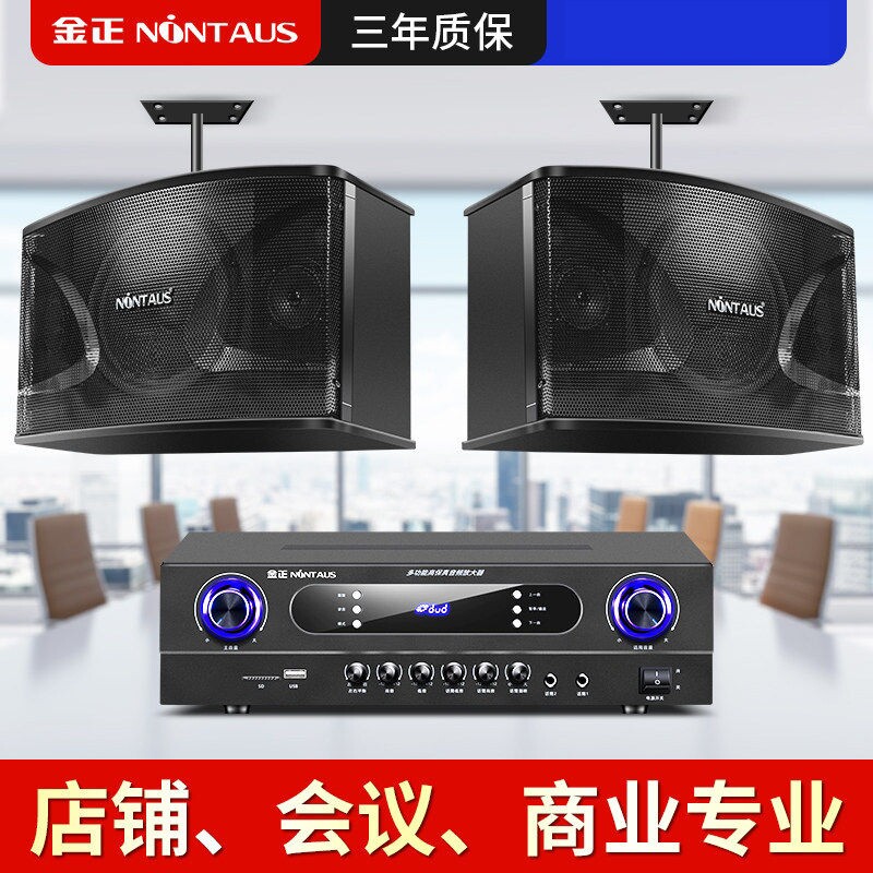 商用重低音会议专业箱健身房舞蹈室家庭卡拉OK壁挂台球厅环绕音响