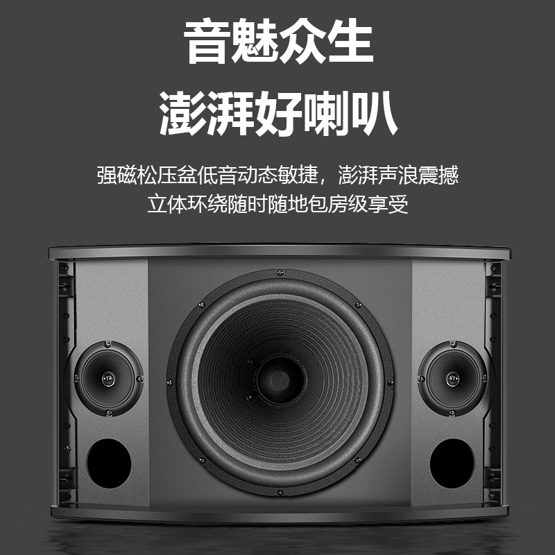 舞蹈重低音音响会议H1家庭V房套装壁挂音箱唱歌卡拉OK健身现代0