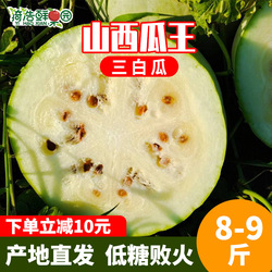 山西龙8国际三白瓜白西瓜6-10斤包邮低糖水果白皮西瓜 新鲜当季水果