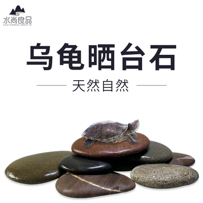 水尚良品乌龟晒台天然石头扁平