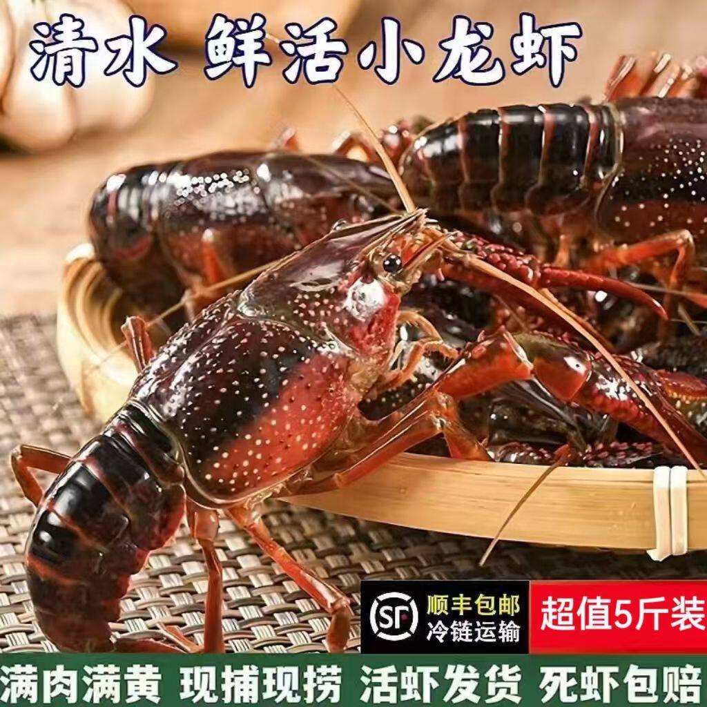 小龙虾鲜活水产特大盱眙清水虾淡水养殖活虾生龙虾尾鲜活顺丰包邮
