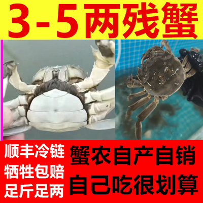 残蟹净重大号全母洪泽湖掉腿螃蟹
