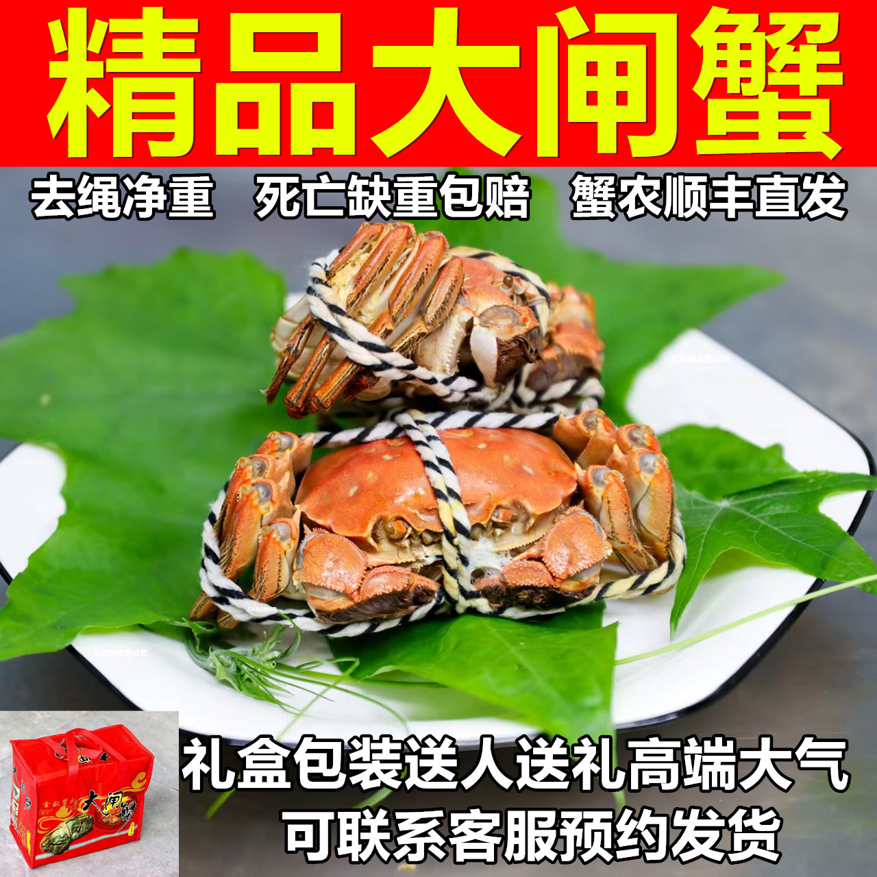 活蟹大闸蟹洪泽湖螃蟹全母蟹3两大闸蟹