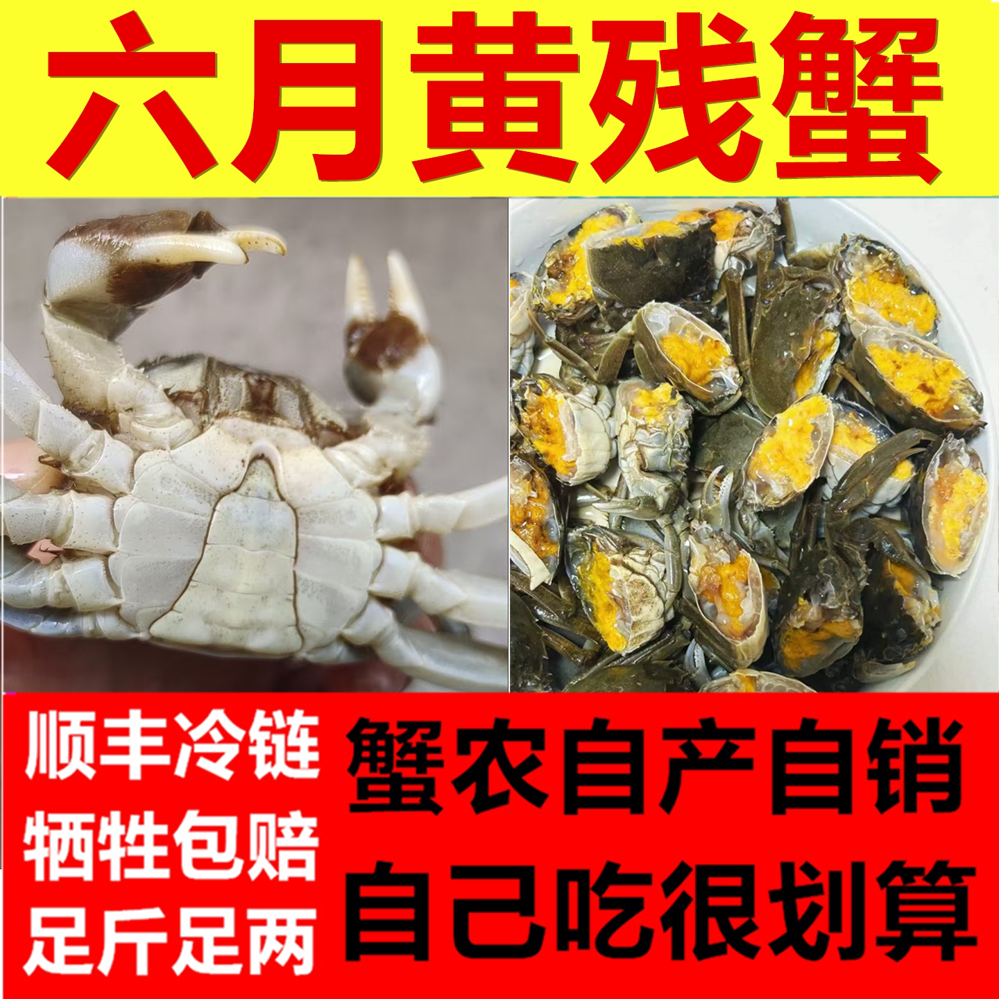 活蟹残蟹六月黄大闸蟹去绳净重洪泽湖螃蟹鲜活掉腿蟹九指八指蟹