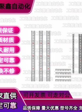 BLR01/02/06/11/12/15/16-L100 200 300 61刻度45标尺36BLP52/56