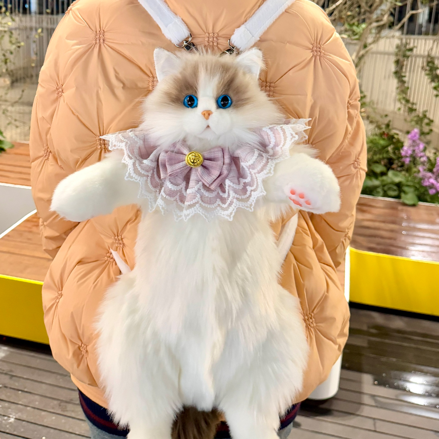 仿真布偶猫背包赠礼袋贺卡清洁包