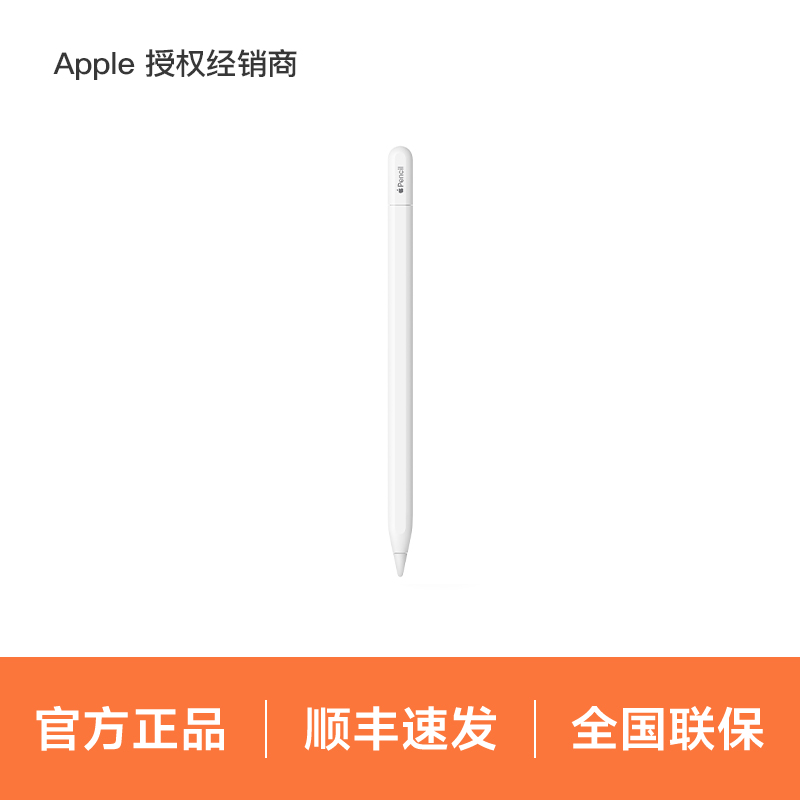 Apple/苹果 Apple Pencil (USB-C) 磁吸触控笔手写笔适用于新iPad mini/Pro (M4)/Air (M2)/iPad10
