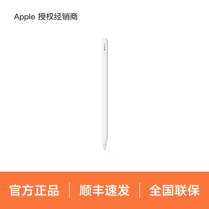 Apple/苹果 Apple Pencil (USB-C) 磁吸触控笔手写笔适用于新 iPad mini/Pro (M4)/Air (M2)/iPad 10