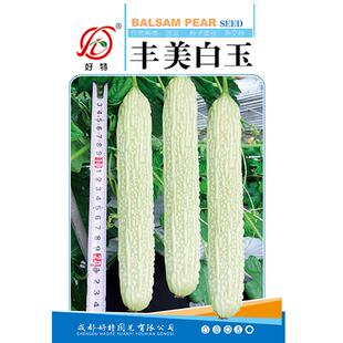 丰美白玉苦瓜种子早熟老式高钙进口专用南方种植黄金秋播清香白色