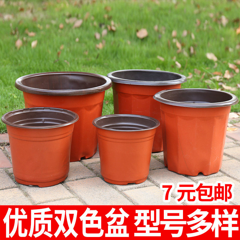 一次性简易特大号双色包邮育苗盆