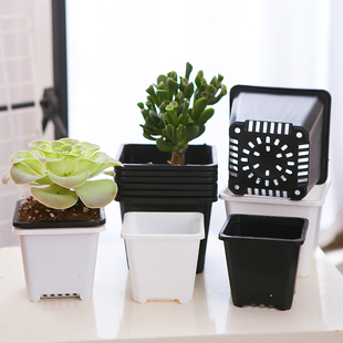 方形塑料花盆多肉植物种植盆栽容器黑白色简约塑料花盆景天绿植盆