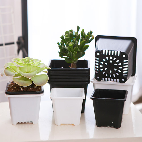 方形塑料花盆多肉植物种植盆栽容器黑白色简约塑料花盆景天绿植盆