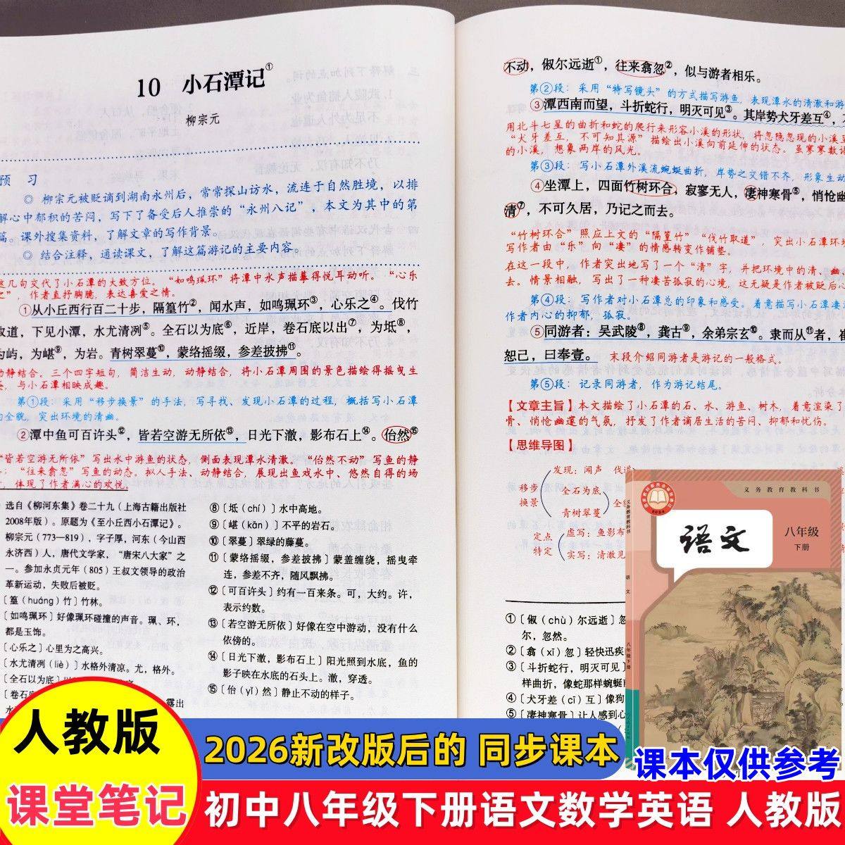 2026新八年级上下册课堂笔记