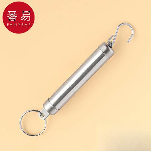 弹簧称/手提A1pn008-高精度手提称便捷家用买菜随身带小勾称小体