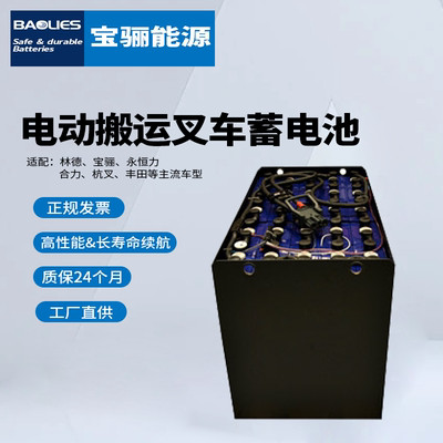 TCM堆高车叉车电瓶FBR15托盘车电池组48V280AH宝骊高性能蓄电池