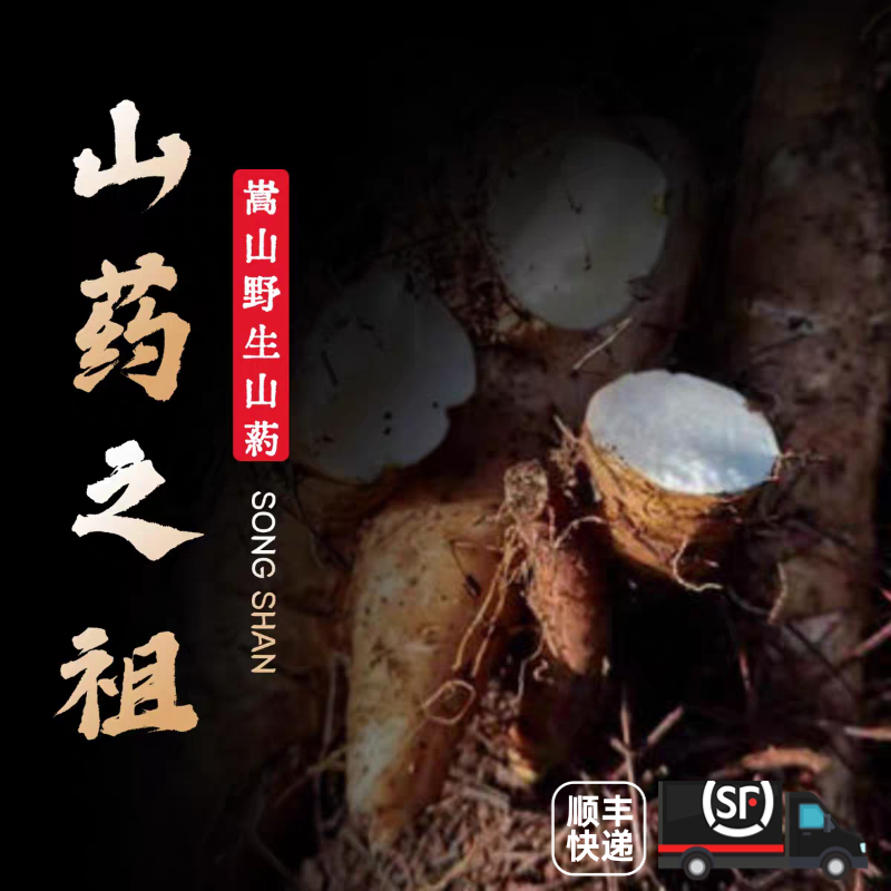 嵩山野生山药现挖现卖