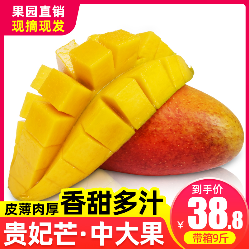 中大果 贵妃芒果 海南贵妃芒 新鲜应季水果包邮热带芒果带箱9斤整