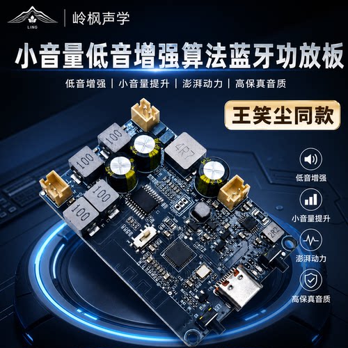 2*10WTWS双通道蓝牙功放模块