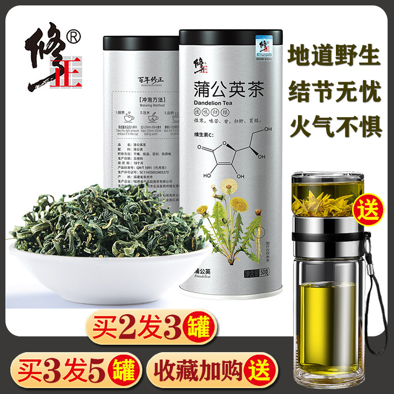 修正蒲公英茶叶正品非通乳腺女性非天然清热非特级清火非下火肝火
