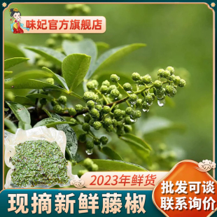 青花椒新鲜藤椒新鲜花椒鲜青花椒麻椒生花椒商用批发2023新货调料