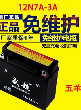 12N7B蓄电池12V7ah摩托车电瓶新大洲五羊本田锋翼125薄款通用包邮