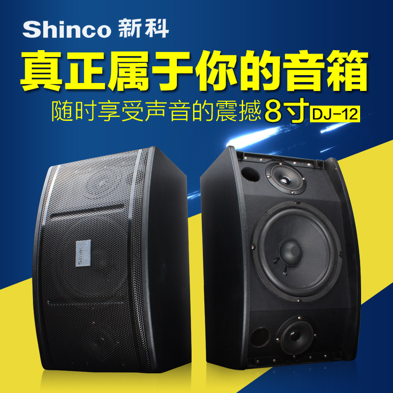 Shinco/新科 DJ-12 8寸10寸专业会议酒吧音响家用KTV卡包音箱一对