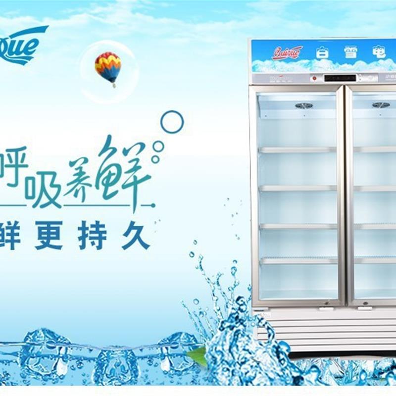 白雪展示柜商用双门饮料陈列柜茶叶保鲜柜啤酒冰箱单门冷柜酒吧