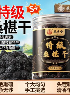 养庆堂特级桑葚干258ghzz4