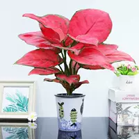 Geelyhong [маленький бассейн поглощения рыбы], включая бассейн