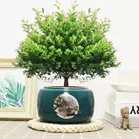 Пять -летняя свай Чинцы+Темно -зеленый Добро пожаловать в керамический бассейн и посадка в горшок