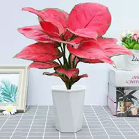 Geely Red [бассейн поглощения белого хребта], включая бассейн