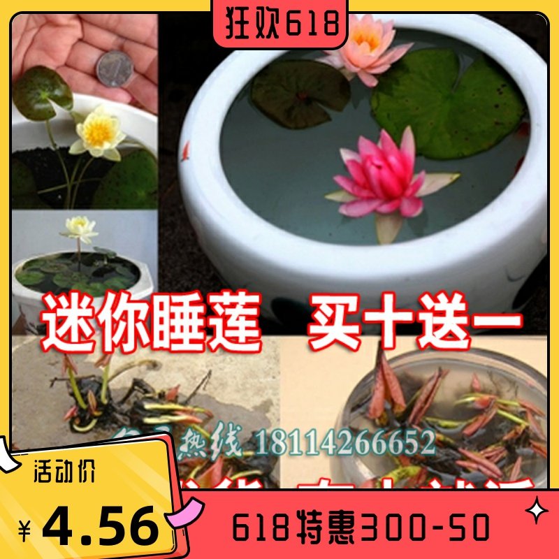 Oxxaqvtuqhp2qm Oxxaqvtuqhp2qm