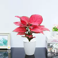 Geely Red [белый бассейн с тыквенной водой], включая бассейн