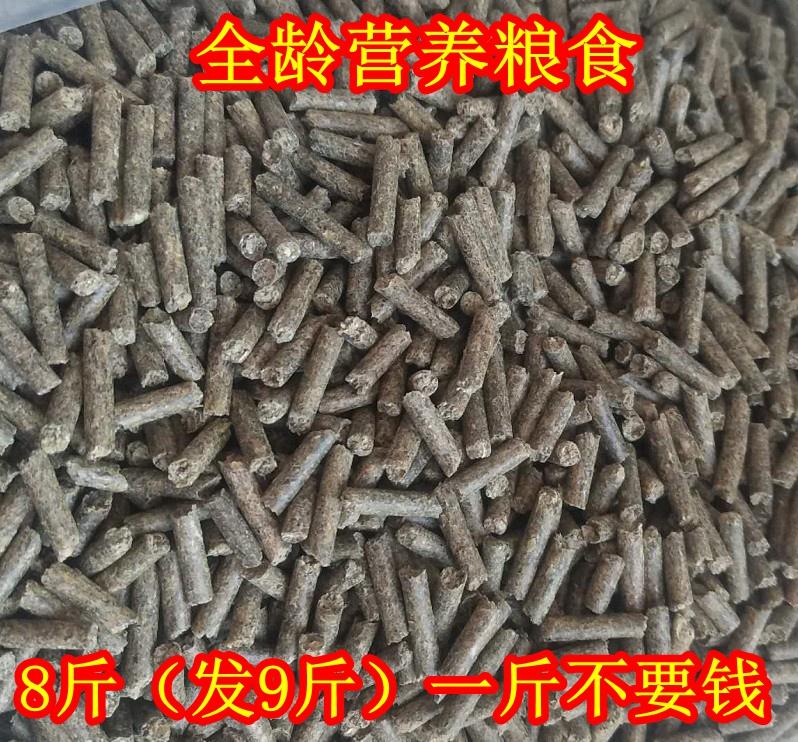 兔粮除臭荷兰猪8斤活体豚鼠防病